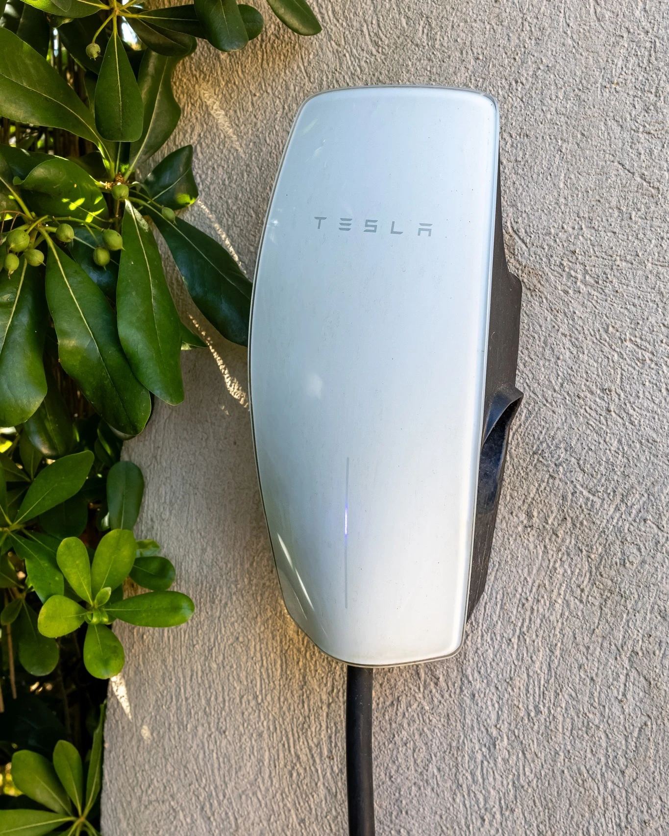 Installation borne de recharge électrique Tesla murale